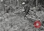 Image Clyde Barrow et Bonnie Parker Bienville Parish Louisiana USA, 1934, de la seconde 24 séquences d'archives historiques vidéo 65675063768