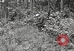 Image Clyde Barrow et Bonnie Parker Bienville Parish Louisiana USA, 1934, de la seconde 25 séquences d'archives historiques vidéo 65675063768