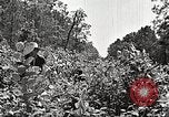 Image Clyde Barrow et Bonnie Parker Bienville Parish Louisiana USA, 1934, de la seconde 28 séquences d'archives historiques vidéo 65675063768