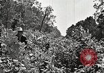 Image Clyde Barrow et Bonnie Parker Bienville Parish Louisiana USA, 1934, de la seconde 29 séquences d'archives historiques vidéo 65675063768