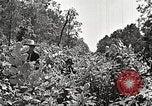 Image Clyde Barrow et Bonnie Parker Bienville Parish Louisiana USA, 1934, de la seconde 30 séquences d'archives historiques vidéo 65675063768