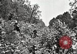 Image Clyde Barrow et Bonnie Parker Bienville Parish Louisiana USA, 1934, de la seconde 31 séquences d'archives historiques vidéo 65675063768