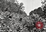 Image Clyde Barrow et Bonnie Parker Bienville Parish Louisiana USA, 1934, de la seconde 32 séquences d'archives historiques vidéo 65675063768