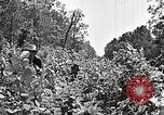 Image Clyde Barrow et Bonnie Parker Bienville Parish Louisiana USA, 1934, de la seconde 33 séquences d'archives historiques vidéo 65675063768
