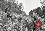 Image Clyde Barrow et Bonnie Parker Bienville Parish Louisiana USA, 1934, de la seconde 34 séquences d'archives historiques vidéo 65675063768