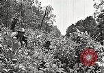 Image Clyde Barrow et Bonnie Parker Bienville Parish Louisiana USA, 1934, de la seconde 35 séquences d'archives historiques vidéo 65675063768