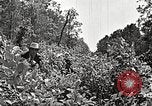 Image Clyde Barrow et Bonnie Parker Bienville Parish Louisiana USA, 1934, de la seconde 36 séquences d'archives historiques vidéo 65675063768