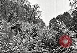 Image Clyde Barrow et Bonnie Parker Bienville Parish Louisiana USA, 1934, de la seconde 37 séquences d'archives historiques vidéo 65675063768
