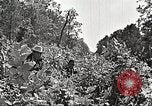 Image Clyde Barrow et Bonnie Parker Bienville Parish Louisiana USA, 1934, de la seconde 38 séquences d'archives historiques vidéo 65675063768