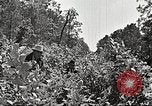 Image Clyde Barrow et Bonnie Parker Bienville Parish Louisiana USA, 1934, de la seconde 39 séquences d'archives historiques vidéo 65675063768