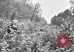 Image Clyde Barrow et Bonnie Parker Bienville Parish Louisiana USA, 1934, de la seconde 40 séquences d'archives historiques vidéo 65675063768