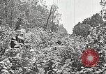 Image Clyde Barrow et Bonnie Parker Bienville Parish Louisiana USA, 1934, de la seconde 41 séquences d'archives historiques vidéo 65675063768
