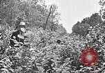 Image Clyde Barrow et Bonnie Parker Bienville Parish Louisiana USA, 1934, de la seconde 47 séquences d'archives historiques vidéo 65675063768