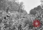 Image Clyde Barrow et Bonnie Parker Bienville Parish Louisiana USA, 1934, de la seconde 48 séquences d'archives historiques vidéo 65675063768