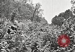Image Clyde Barrow et Bonnie Parker Bienville Parish Louisiana USA, 1934, de la seconde 55 séquences d'archives historiques vidéo 65675063768