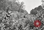 Image Clyde Barrow et Bonnie Parker Bienville Parish Louisiana USA, 1934, de la seconde 56 séquences d'archives historiques vidéo 65675063768