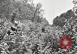 Image Clyde Barrow et Bonnie Parker Bienville Parish Louisiana USA, 1934, de la seconde 57 séquences d'archives historiques vidéo 65675063768