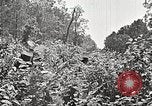 Image Clyde Barrow et Bonnie Parker Bienville Parish Louisiana USA, 1934, de la seconde 58 séquences d'archives historiques vidéo 65675063768