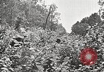 Image Clyde Barrow et Bonnie Parker Bienville Parish Louisiana USA, 1934, de la seconde 59 séquences d'archives historiques vidéo 65675063768