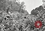 Image Clyde Barrow et Bonnie Parker Bienville Parish Louisiana USA, 1934, de la seconde 60 séquences d'archives historiques vidéo 65675063768