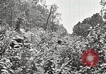 Image Clyde Barrow et Bonnie Parker Bienville Parish Louisiana USA, 1934, de la seconde 61 séquences d'archives historiques vidéo 65675063768