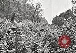 Image Clyde Barrow et Bonnie Parker Bienville Parish Louisiana USA, 1934, de la seconde 62 séquences d'archives historiques vidéo 65675063768