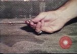 Image of Federal Bureau of Investigation fingerprint analysis Washington DC USA, 1977, second 33 stock footage video 65675063776