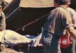 Immagine di Quinta Divisione Nautica Iwo Jima, 1945, secondo 11 filmato di repertorio 65675063793