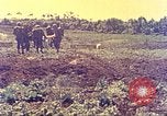 Immagine di Stati Uniti Marines Okinawa Red Beach, 1945, secondo 15 filmato di repertorio 65675063803