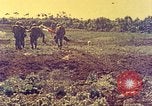 Immagine di Stati Uniti Marines Okinawa Red Beach, 1945, secondo 16 filmato di repertorio 65675063803