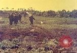 Immagine di Stati Uniti Marines Okinawa Red Beach, 1945, secondo 17 filmato di repertorio 65675063803