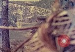 Image of United States Marines Okinawa Ryukyu Islands, 1945, second 25 stock footage video 65675063805