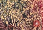 Image of 77th Infantry Division Guam Mariana Islands, 1944, second 7 stock footage video 65675063807