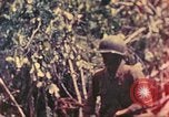 Image of 77th Infantry Division Guam Mariana Islands, 1944, second 13 stock footage video 65675063807