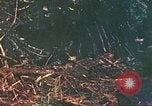 Image of 77th Infantry Division Guam Mariana Islands, 1944, second 25 stock footage video 65675063807