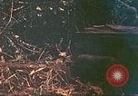 Image of 77th Infantry Division Guam Mariana Islands, 1944, second 26 stock footage video 65675063807