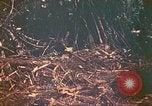 Image of 77th Infantry Division Guam Mariana Islands, 1944, second 30 stock footage video 65675063807
