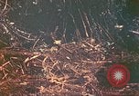 Image of 77th Infantry Division Guam Mariana Islands, 1944, second 31 stock footage video 65675063807