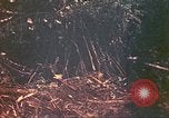 Image of 77th Infantry Division Guam Mariana Islands, 1944, second 36 stock footage video 65675063807