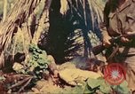 Image of 77th Infantry Division Guam Mariana Islands, 1944, second 60 stock footage video 65675063807