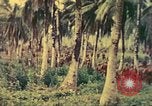 Image of 77th Infantry Division Guam Mariana Islands, 1944, second 9 stock footage video 65675063808