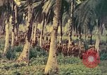 Image of 77th Infantry Division Guam Mariana Islands, 1944, second 10 stock footage video 65675063808