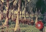 Image of 77th Infantry Division Guam Mariana Islands, 1944, second 11 stock footage video 65675063808