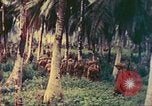 Image of 77th Infantry Division Guam Mariana Islands, 1944, second 12 stock footage video 65675063808