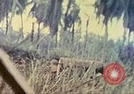 Image of 77th Infantry Division Guam Mariana Islands, 1944, second 36 stock footage video 65675063808