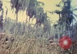 Image of 77th Infantry Division Guam Mariana Islands, 1944, second 38 stock footage video 65675063808