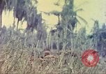Image of 77th Infantry Division Guam Mariana Islands, 1944, second 39 stock footage video 65675063808