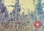 Image of 77th Infantry Division Guam Mariana Islands, 1944, second 40 stock footage video 65675063808