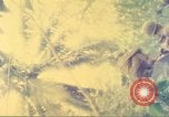 Image of 77th Infantry Division Guam Mariana Islands, 1944, second 61 stock footage video 65675063808