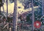 Image 77e Division d'infanterie Guam Îles Mariannes, 1944, de la seconde 9 séquences d'archives historiques vidéo 65675063809